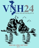 VNH24